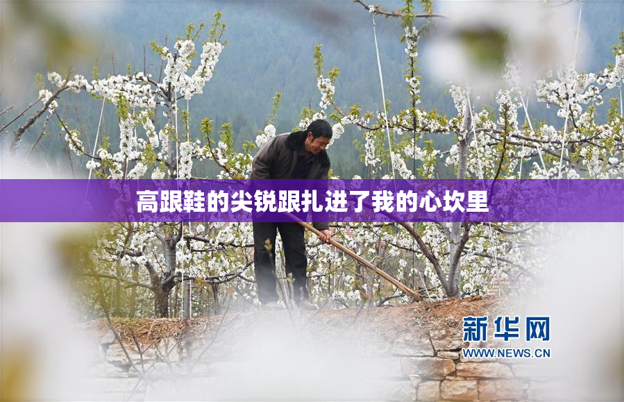 高跟鞋的尖锐跟扎进了我的心坎里