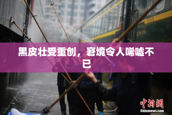 黑皮壮受重创，窘境令人唏嘘不已