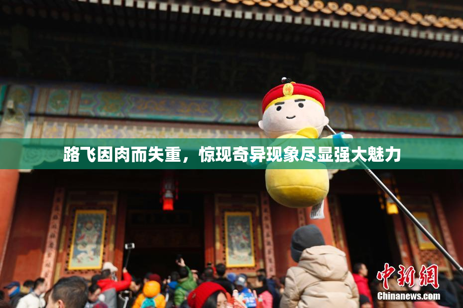 路飞因肉而失重，惊现奇异现象尽显强大魅力