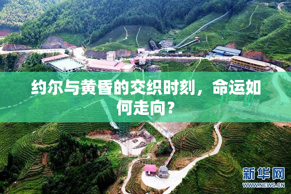 约尔与黄昏的交织时刻，命运如何走向？