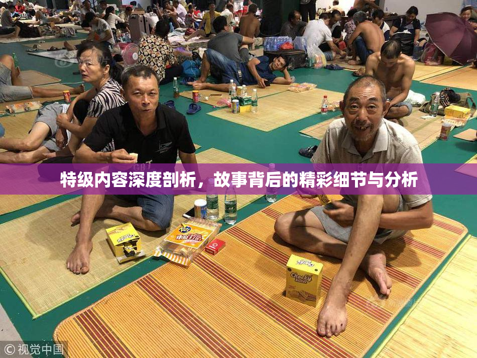 特级内容深度剖析，故事背后的精彩细节与分析