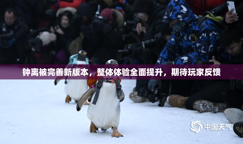 钟离被完善新版本，整体体验全面提升，期待玩家反馈
