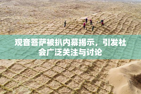 观音菩萨被扒内幕揭示，引发社会广泛关注与讨论