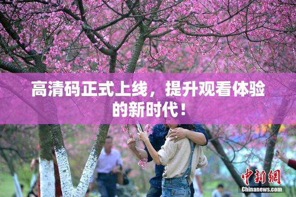 高清码正式上线，提升观看体验的新时代！