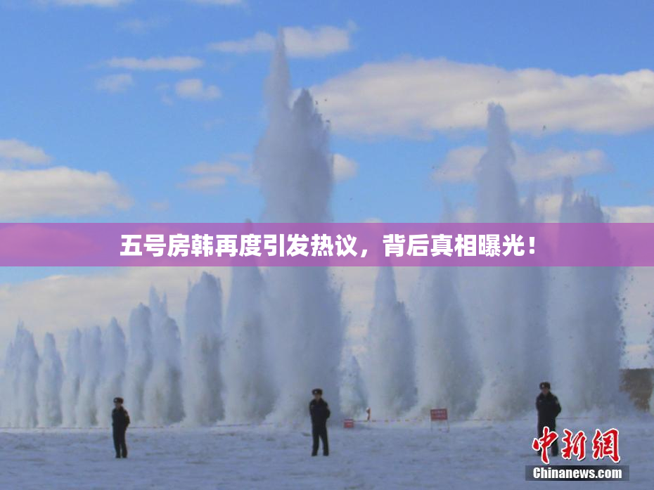 五号房韩再度引发热议，背后真相曝光！