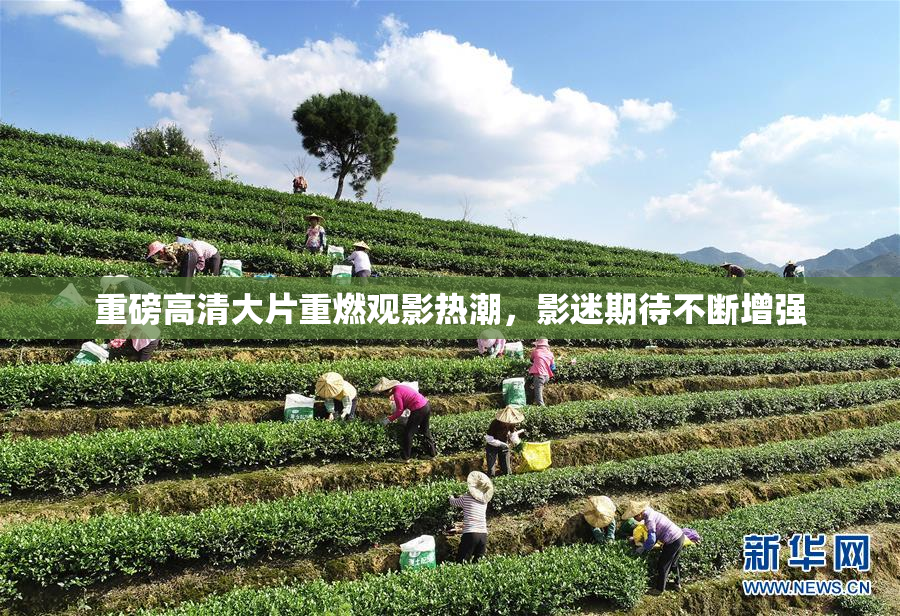 重磅高清大片重燃观影热潮，影迷期待不断增强