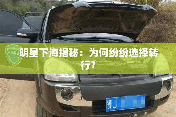 明星下海揭秘：为何纷纷选择转行？