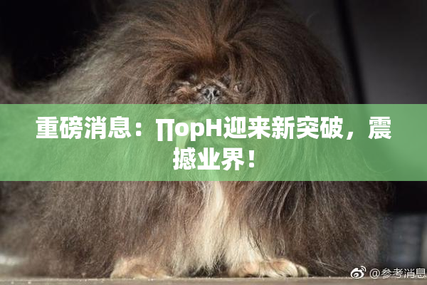 重磅消息：∏opH迎来新突破，震撼业界！