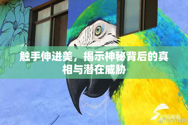 触手伸进美，揭示神秘背后的真相与潜在威胁