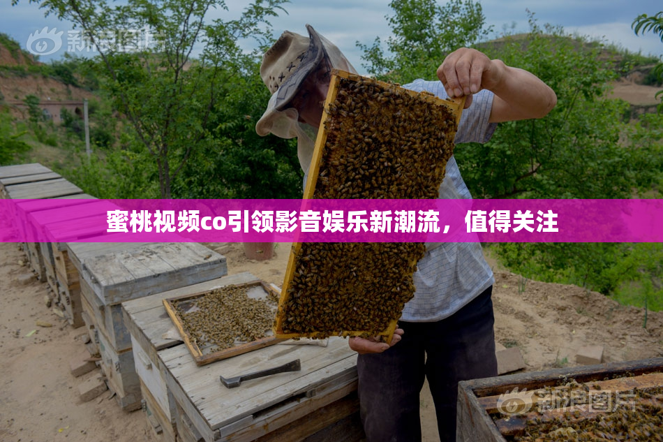 蜜桃视频co引领影音娱乐新潮流，值得关注