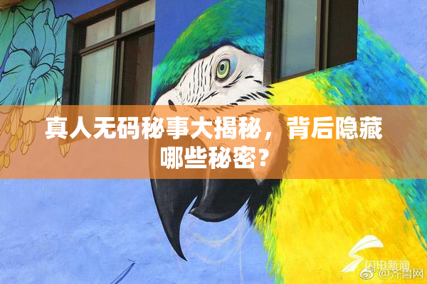 真人无码秘事大揭秘，背后隐藏哪些秘密？