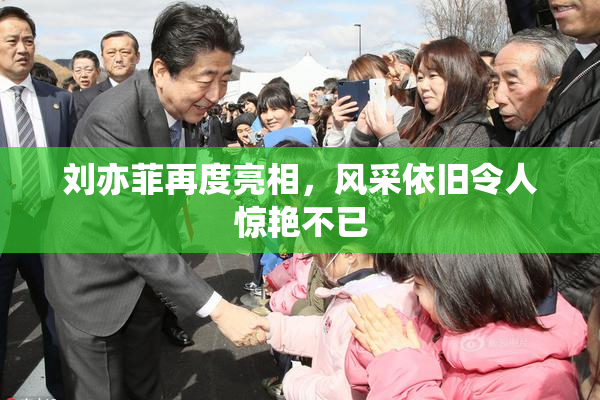 刘亦菲再度亮相，风采依旧令人惊艳不已