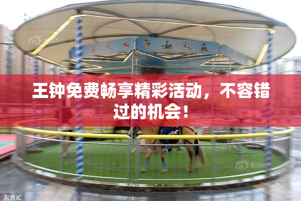 王钟免费畅享精彩活动，不容错过的机会！