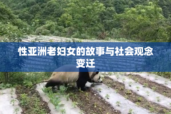 性亚洲老妇女的故事与社会观念变迁