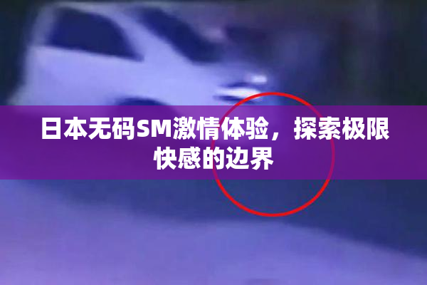 日本无码SM激情体验，探索极限快感的边界