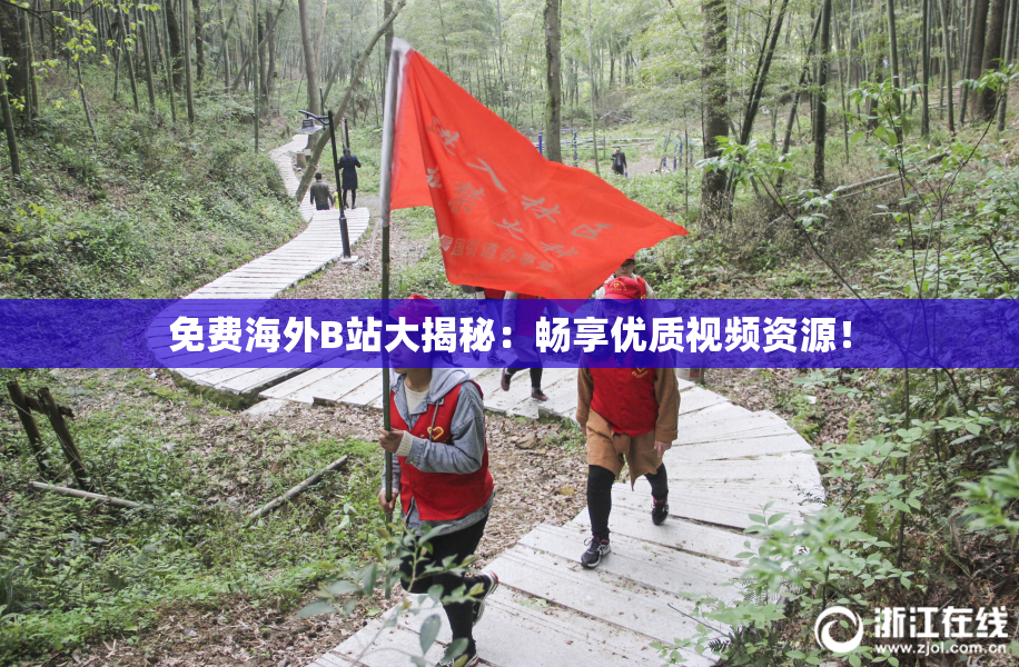 免费海外B站大揭秘：畅享优质视频资源！