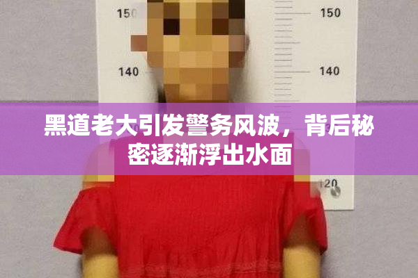 黑道老大引发警务风波，背后秘密逐渐浮出水面