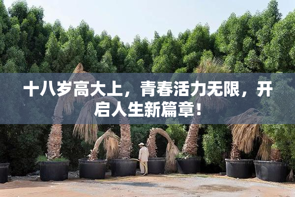 十八岁高大上，青春活力无限，开启人生新篇章！