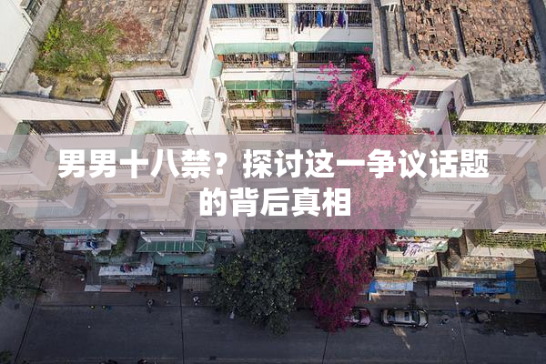 男男十八禁？探讨这一争议话题的背后真相
