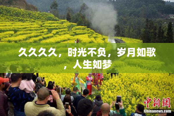 久久久久，时光不负，岁月如歌，人生如梦