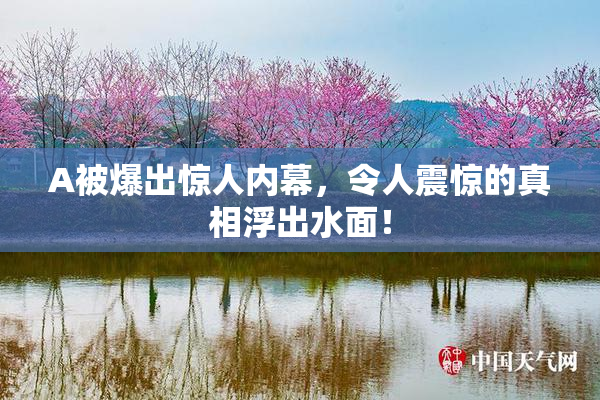 A被爆出惊人内幕，令人震惊的真相浮出水面！