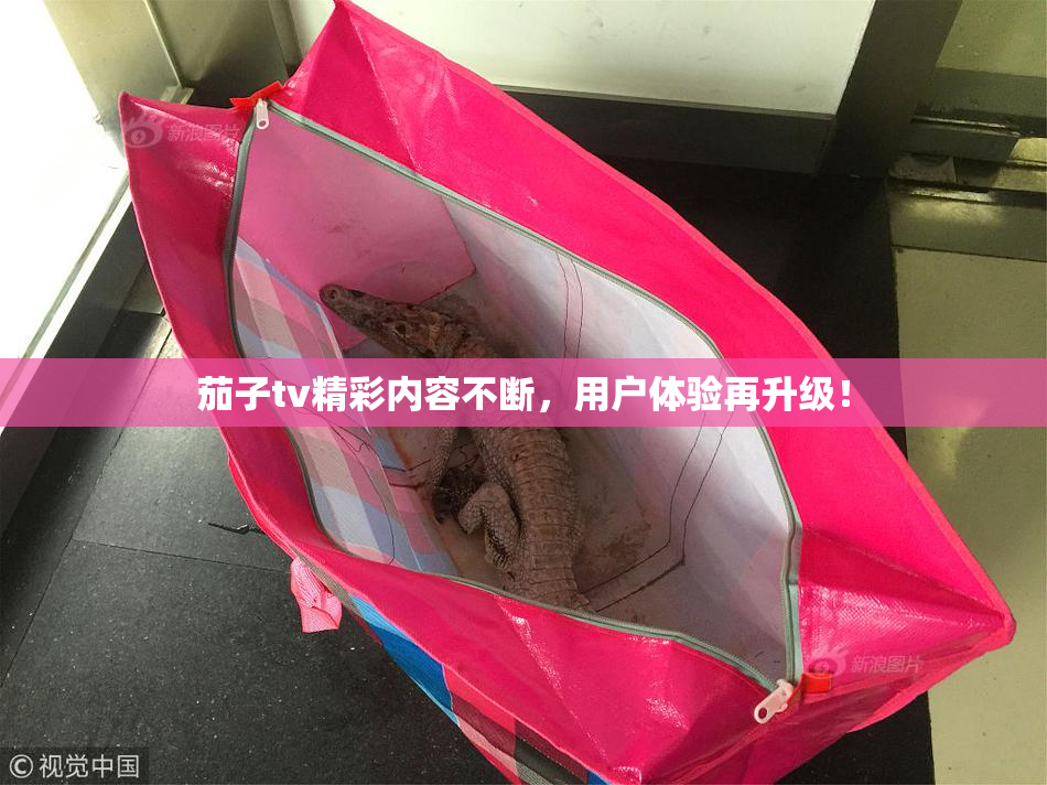 茄子tv精彩内容不断，用户体验再升级！