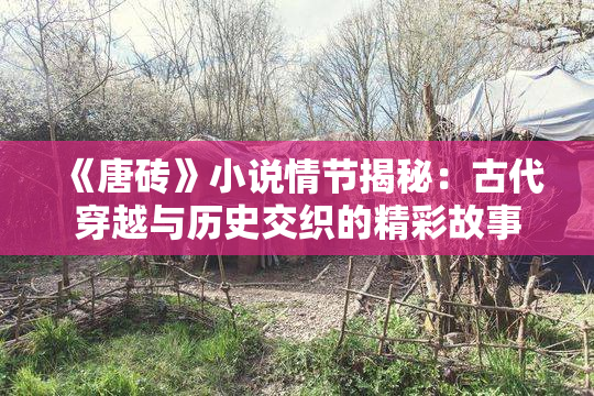 《唐砖》小说情节揭秘：古代穿越与历史交织的精彩故事