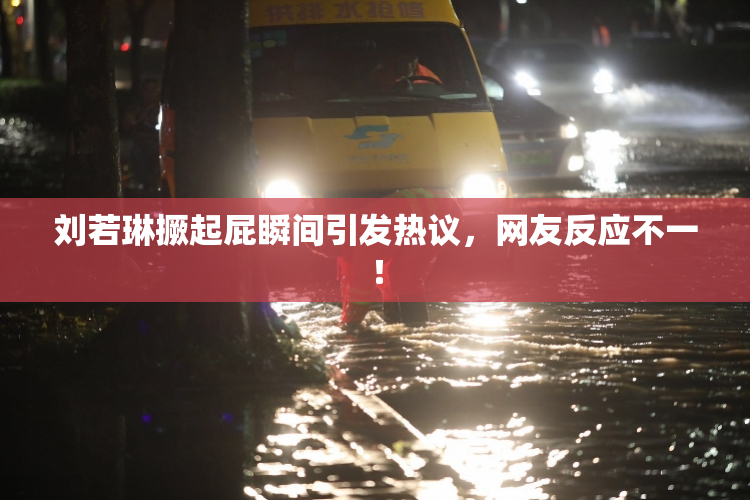 刘若琳撅起屁瞬间引发热议，网友反应不一！