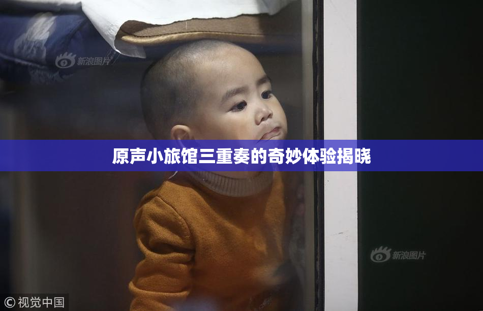 原声小旅馆三重奏的奇妙体验揭晓