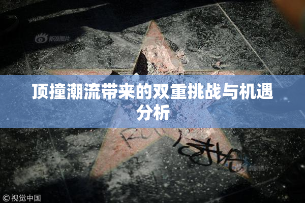 顶撞潮流带来的双重挑战与机遇分析
