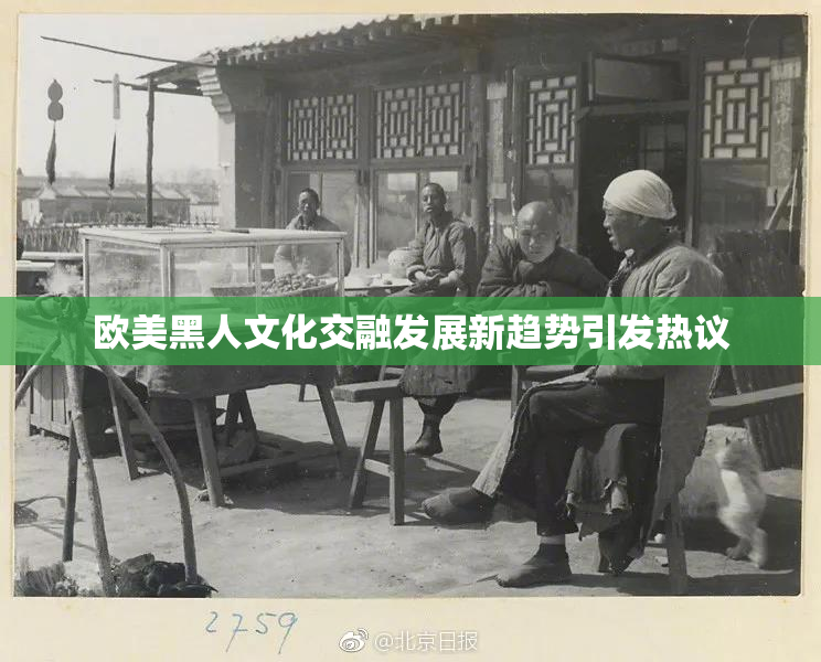 欧美黑人文化交融发展新趋势引发热议