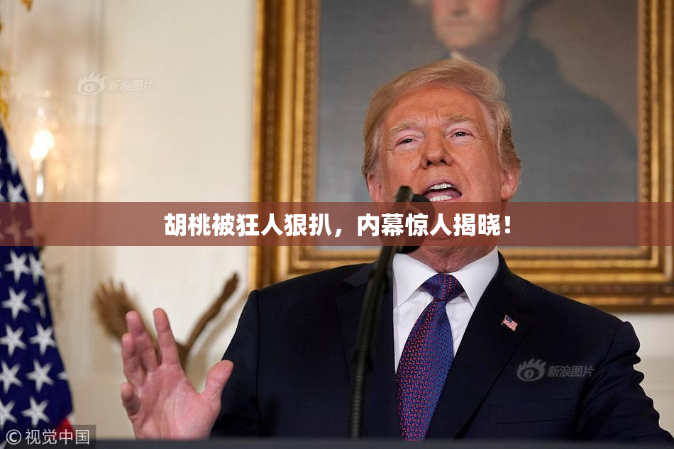 胡桃被狂人狠扒，内幕惊人揭晓！