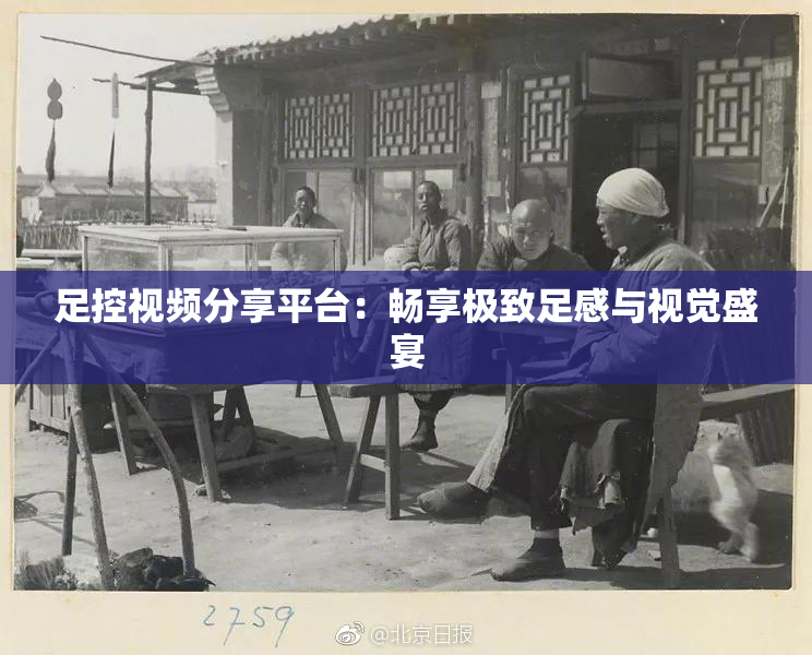 足控视频分享平台：畅享极致足感与视觉盛宴