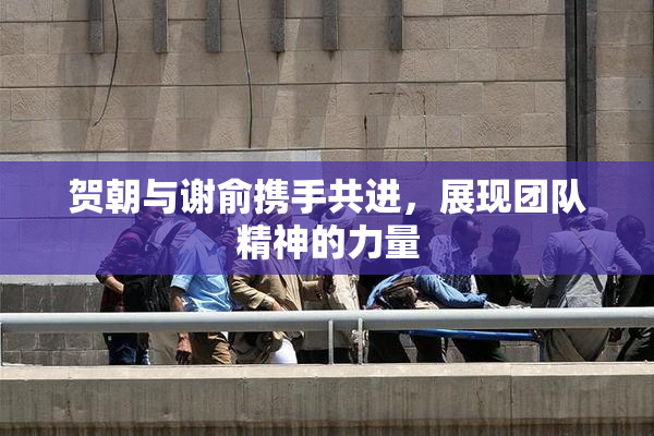 贺朝与谢俞携手共进，展现团队精神的力量