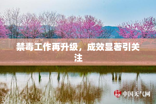 禁毒工作再升级，成效显著引关注