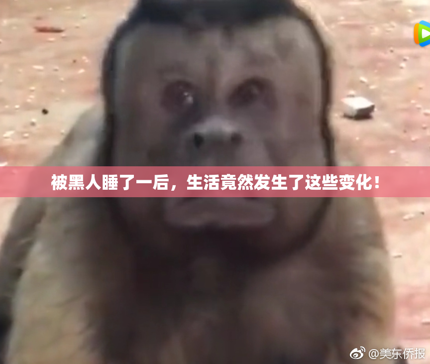 被黑人睡了一后，生活竟然发生了这些变化！