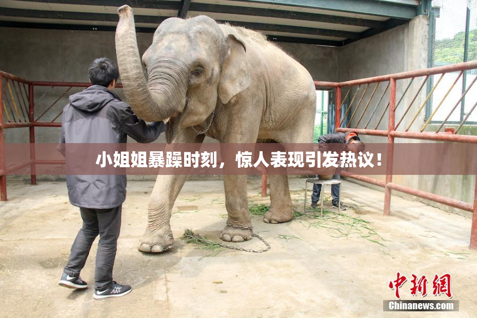 小姐姐暴躁时刻，惊人表现引发热议！