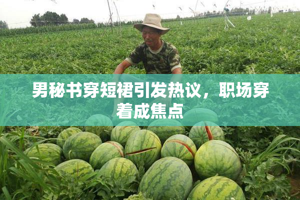 男秘书穿短裙引发热议，职场穿着成焦点
