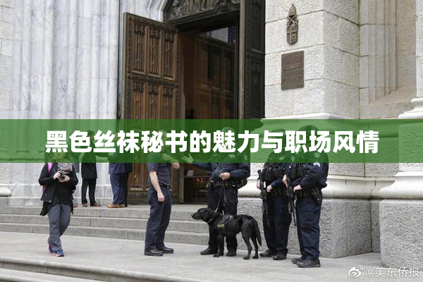 黑色丝袜秘书的魅力与职场风情