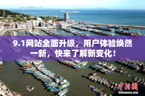 9.1网站全面升级，用户体验焕然一新，快来了解新变化！