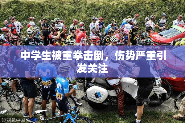 中学生被重拳击倒，伤势严重引发关注