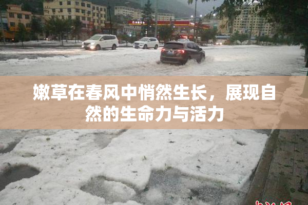 嫩草在春风中悄然生长，展现自然的生命力与活力