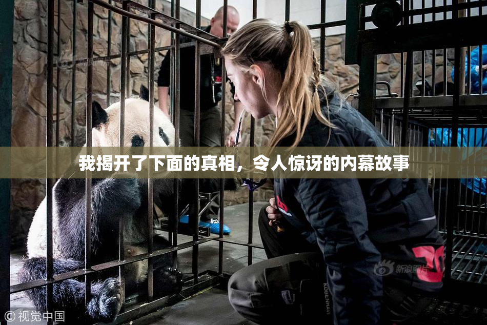 我揭开了下面的真相，令人惊讶的内幕故事
