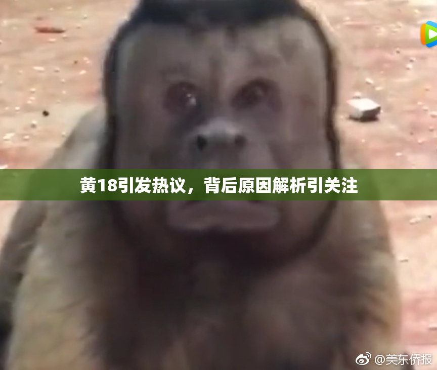 黄18引发热议，背后原因解析引关注