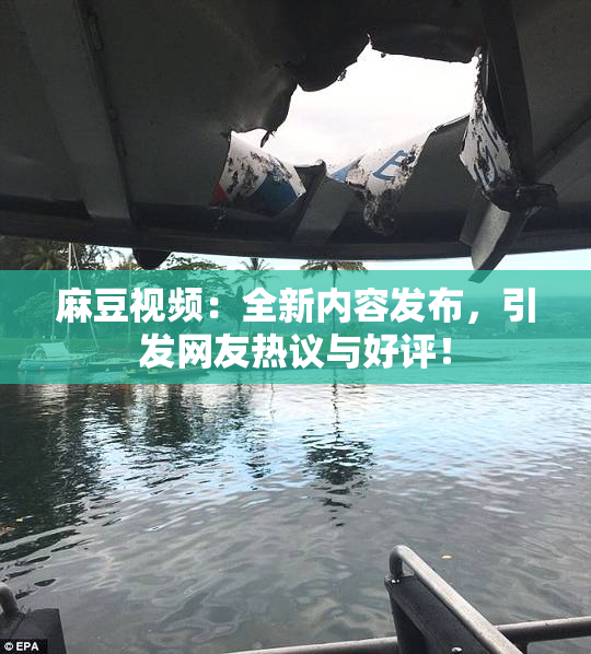 麻豆视频：全新内容发布，引发网友热议与好评！