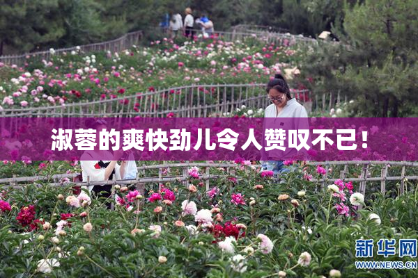 淑蓉的爽快劲儿令人赞叹不已！