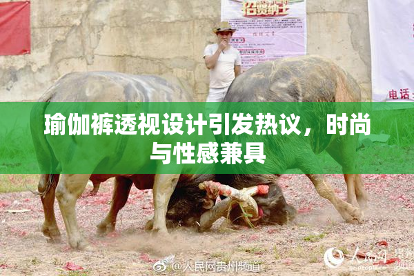 瑜伽裤透视设计引发热议，时尚与性感兼具