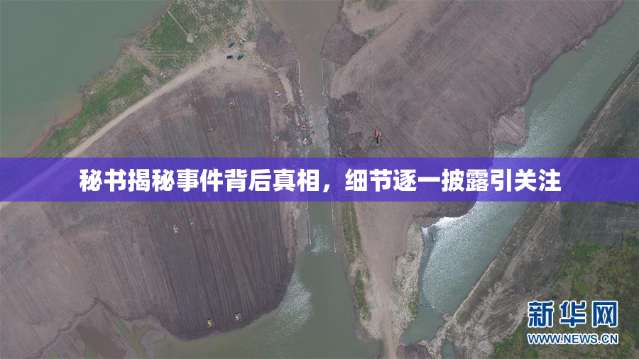 秘书揭秘事件背后真相，细节逐一披露引关注
