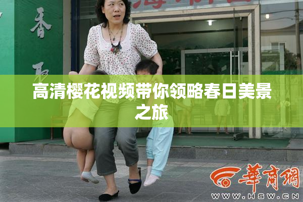 高清樱花视频带你领略春日美景之旅