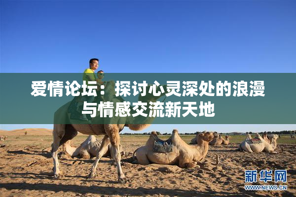 爱情论坛：探讨心灵深处的浪漫与情感交流新天地